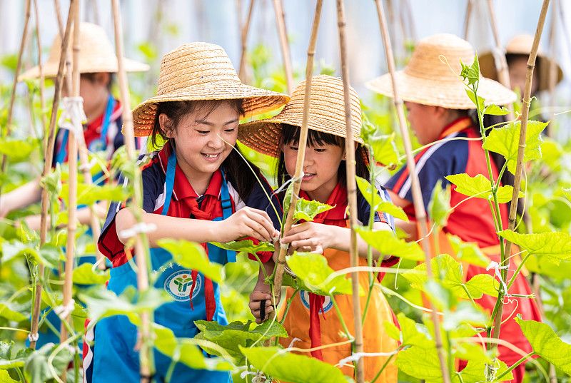 中小学劳动课